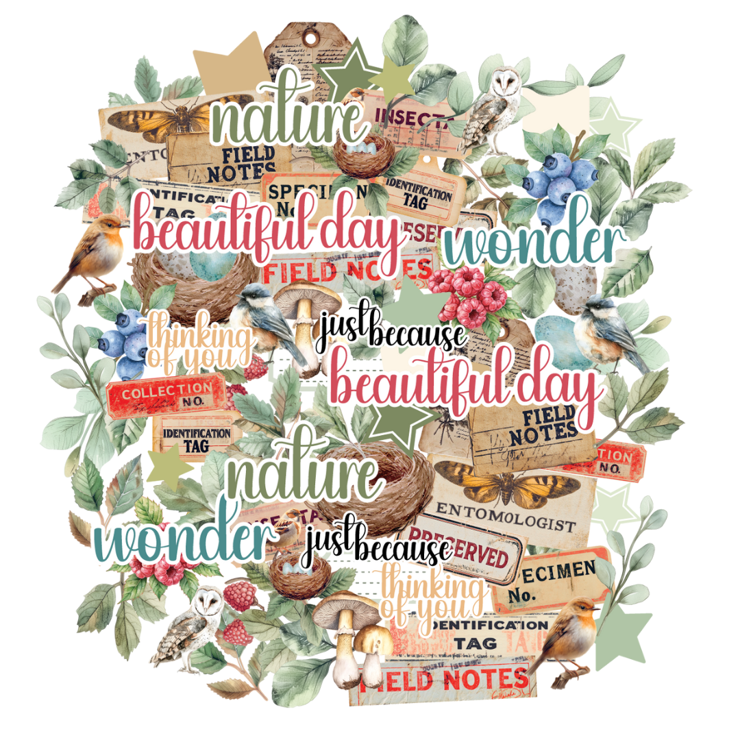 Botanical Chronicles Creative Cut