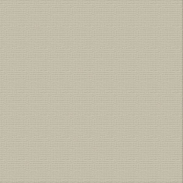 CC Textured Cardstock - 12x12 - Whisper (216gsm)