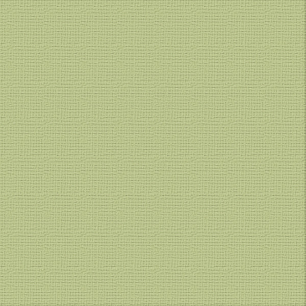 CC Textured Cardstock - 12x12 - Verde (250gsm)