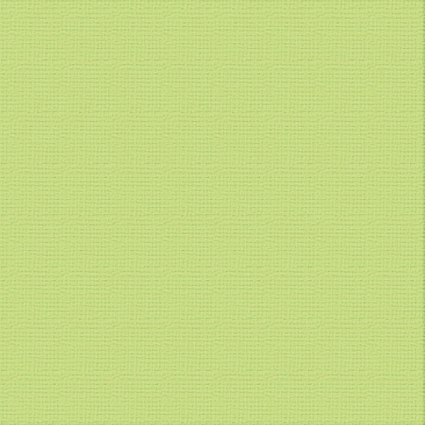 CC Textured Cardstock - 12x12 - Mantis (250gsm)