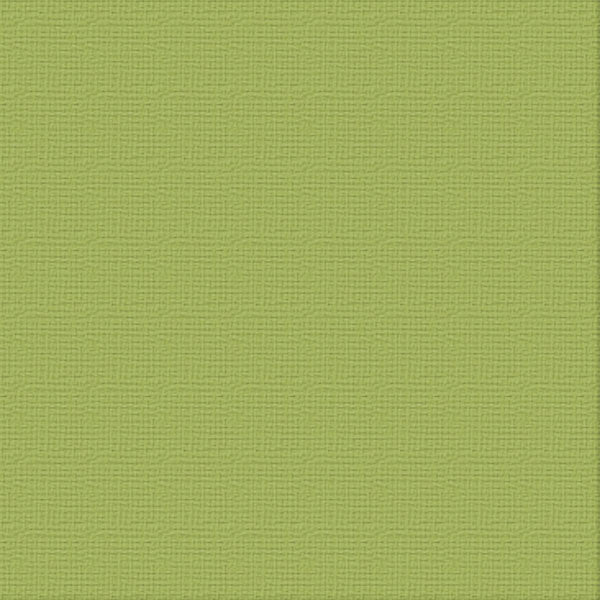 CC Textured Cardstock - 12x12 - Olive Grove (216gsm)