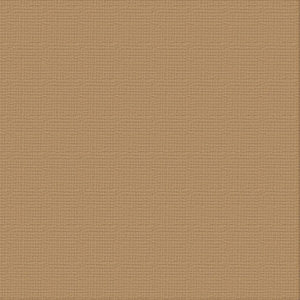 CC Textured Cardstock - 12x12 - Cinnamon (216gsm)