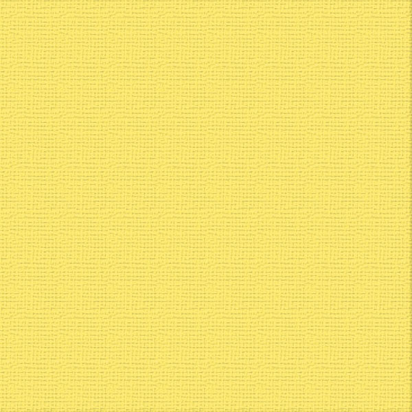 CC Textured Cardstock - 12x12 - Raincoat (216gsm)