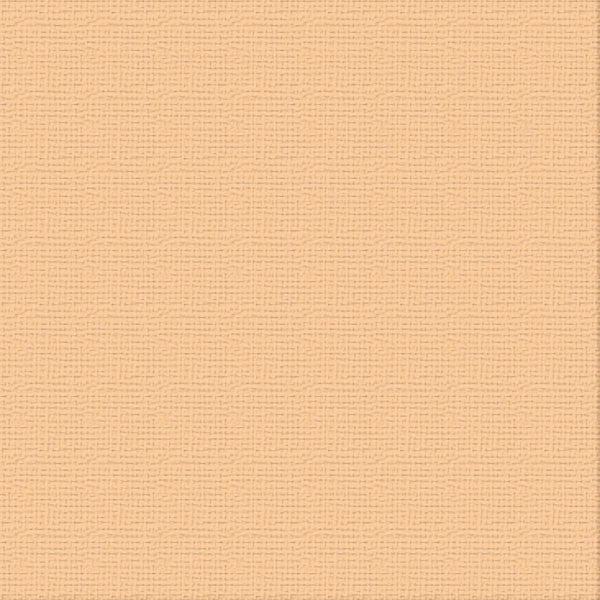 CC Textured Cardstock - 12x12 - Cantelaupe (250gsm)