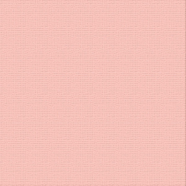 CC Textured Cardstock - 12x12 - Fairy Wings (216gsm)