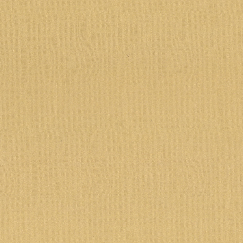 CC CHAI Textured Cardstock - 12x12 - (216gsm) 