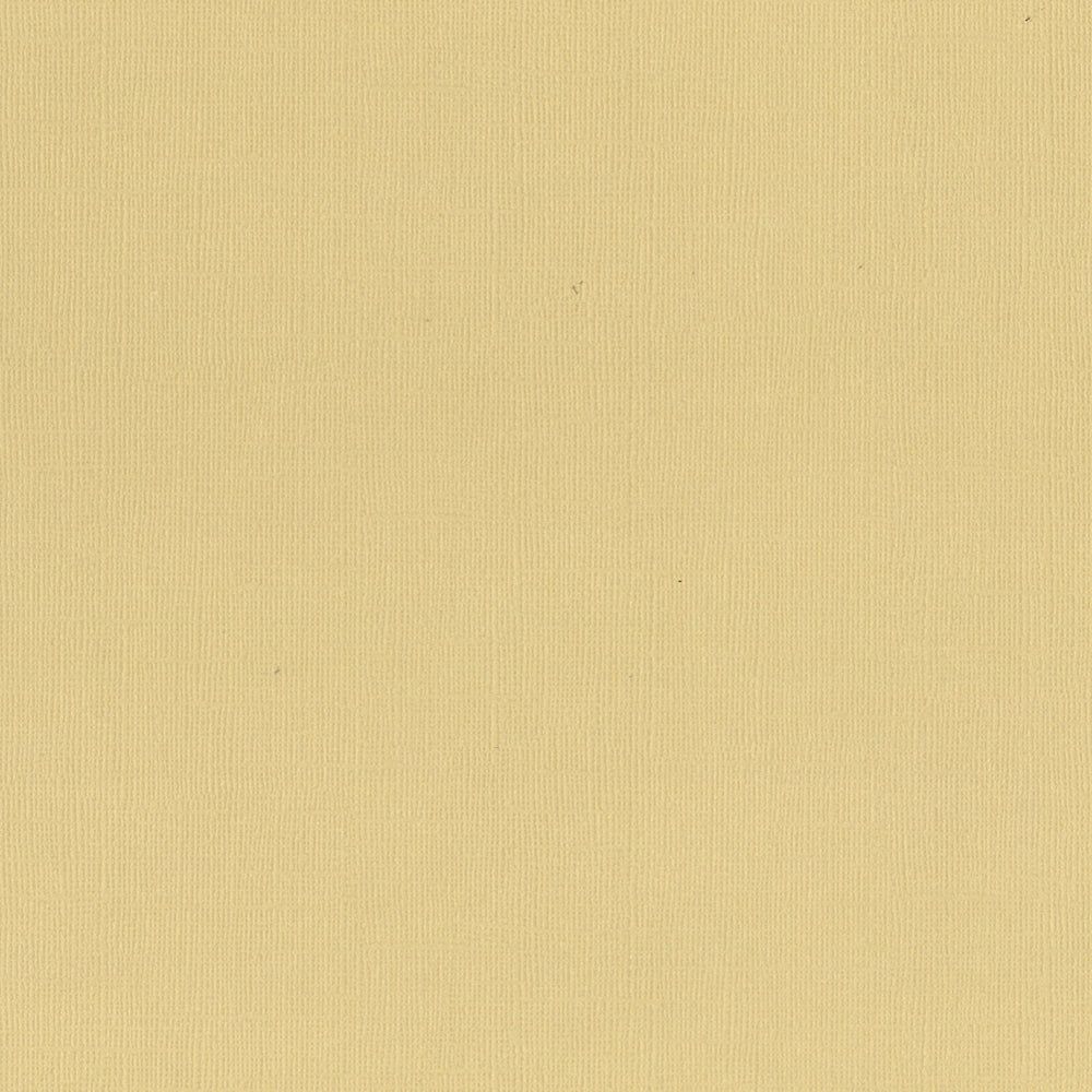 CC OAT Textured Cardstock - 12x12 - (216gsm)